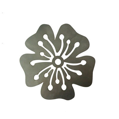 SS304 Özel Lazer Kesim Metal Parçalar Parlatma Hassas OEM